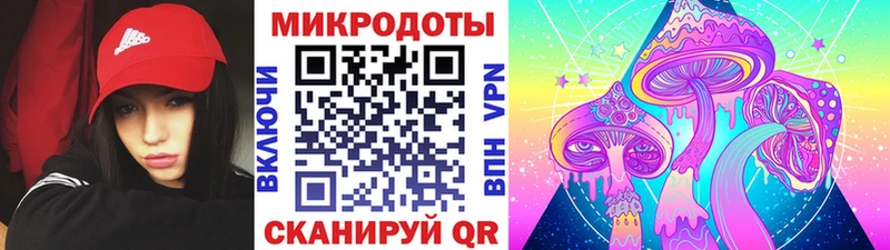 Псилоцибиновые грибы GOLDEN TEACHER  купить   Петровск-Забайкальский 